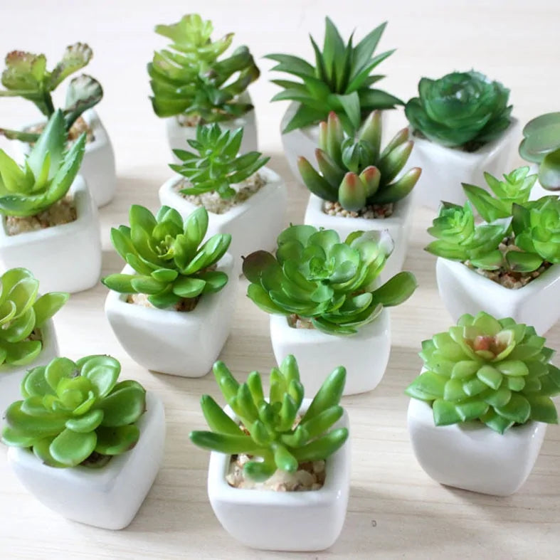 Green Artificial Succulents