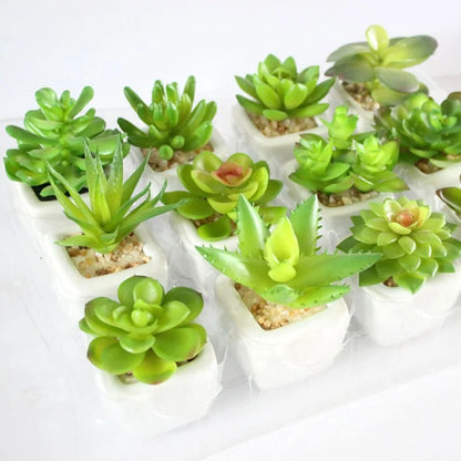 Green Artificial Succulents