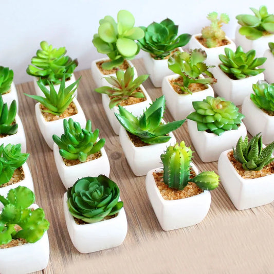 Green Artificial Succulents